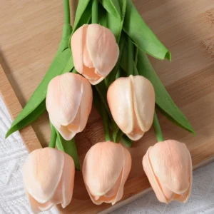 Hoa-tulip-trang-tri-nhieu-mau-xinh-xan-3